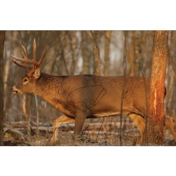 B/C TARGET EZE-SCORER 23"X35" WHITETAIL DEER 2 TARGETS